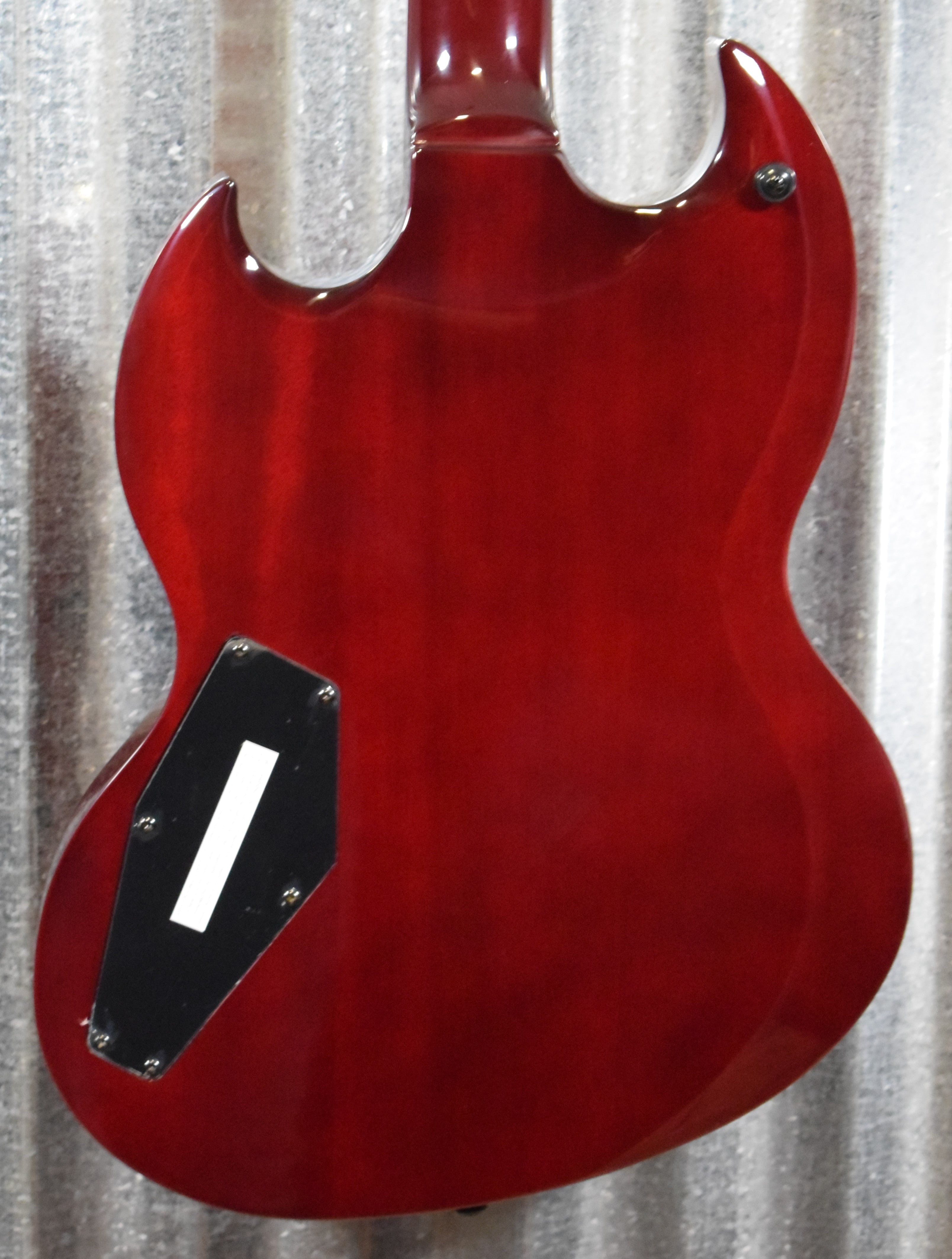 ESP VIPER ビス1点欠品あり