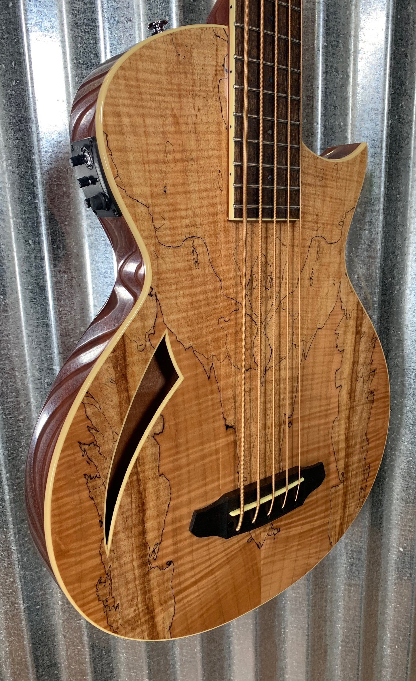 ESP LTD TL-5 Spalted Maple Thinline 5 String Acoustic Electric Bass LTL5SMNAT #1825