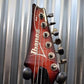 Ibanez Guitar RGR421EXFM Blackcherry Sunburst Guitar EMG 81 85 & Bag #461