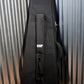ESP LTD EC-1000 Fluence Tiger Eye Fishman Guitar & Bag EC1000FMTEF #0160