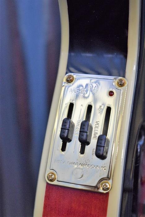 Washburn M3SWETWRK Mandolin in Trans Wine Red & Case B Stock #0088