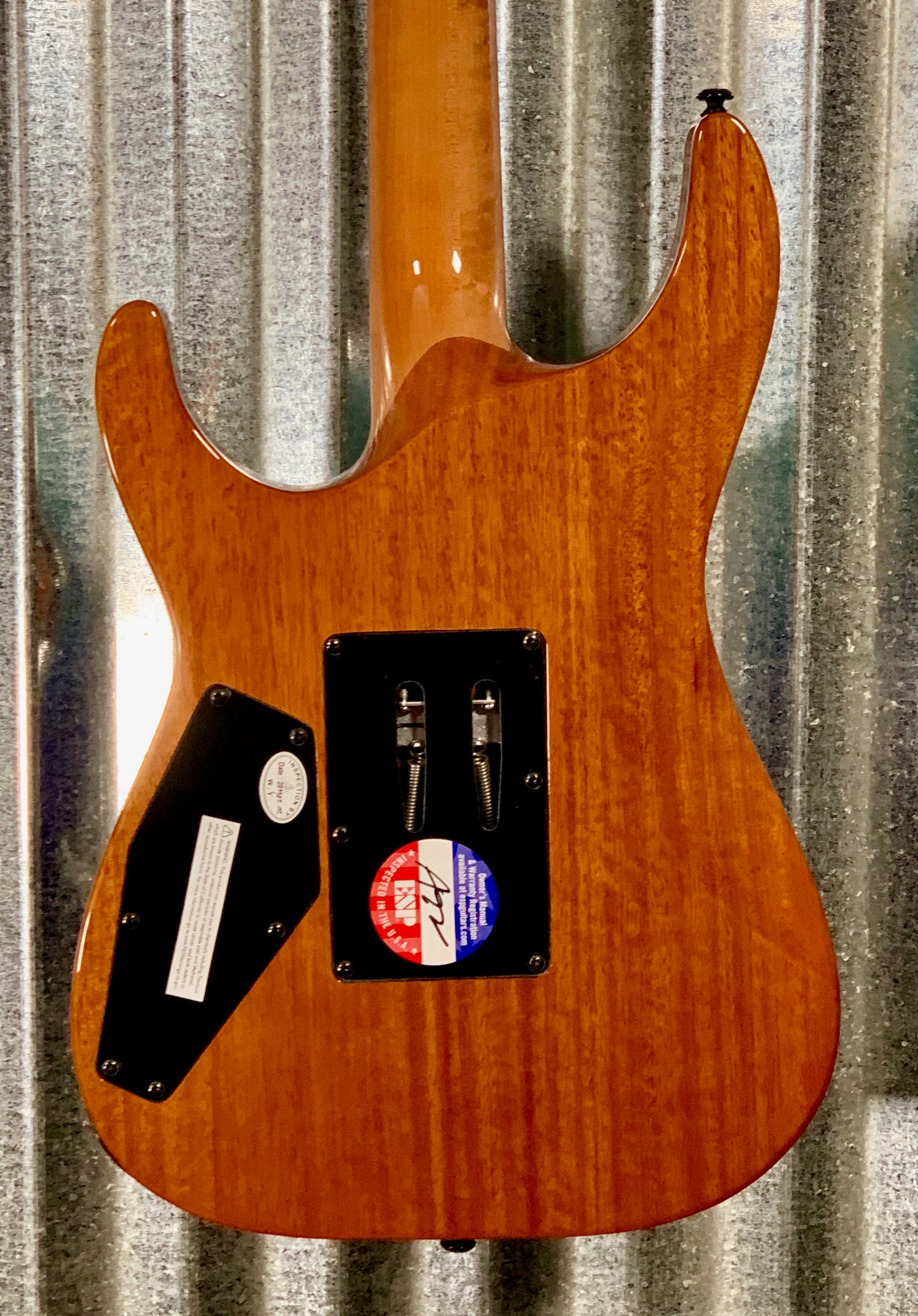 ESP LTD H-1001 Quilt Top Violet Shadow Fade Guitar & Case H1001FRQMVSHFD #1285