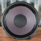 Eminence Patriot Series Ragin Cajun 10" 75 Watt 8 Ohm Guitar Amplifier Speaker Used