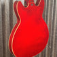 Hagstrom VIKB-WCT Viking 4 String Semi Hollow Short Scale Bass Wild Cherry Transparent #0723