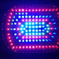 MBT Lighting LEDWOW Sound Active LED DJ Stage Party Light