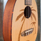 Ortega Guitars RUPA5 Natural Spruce Top Pinaple Concert Ukulele