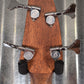 Breedlove Solo Jumbo Acoustic Electric Bass & Bag #3485