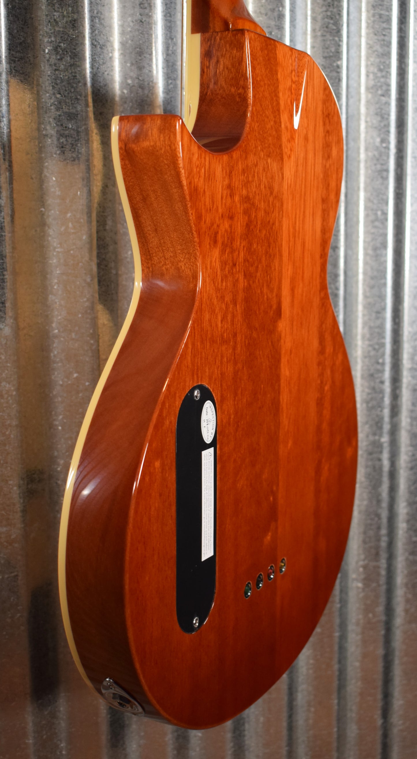 ESP LTD TL-4 Natural 4 String Thinline Acoustic Electric Bass LTL4NAT #0890 Blemished
