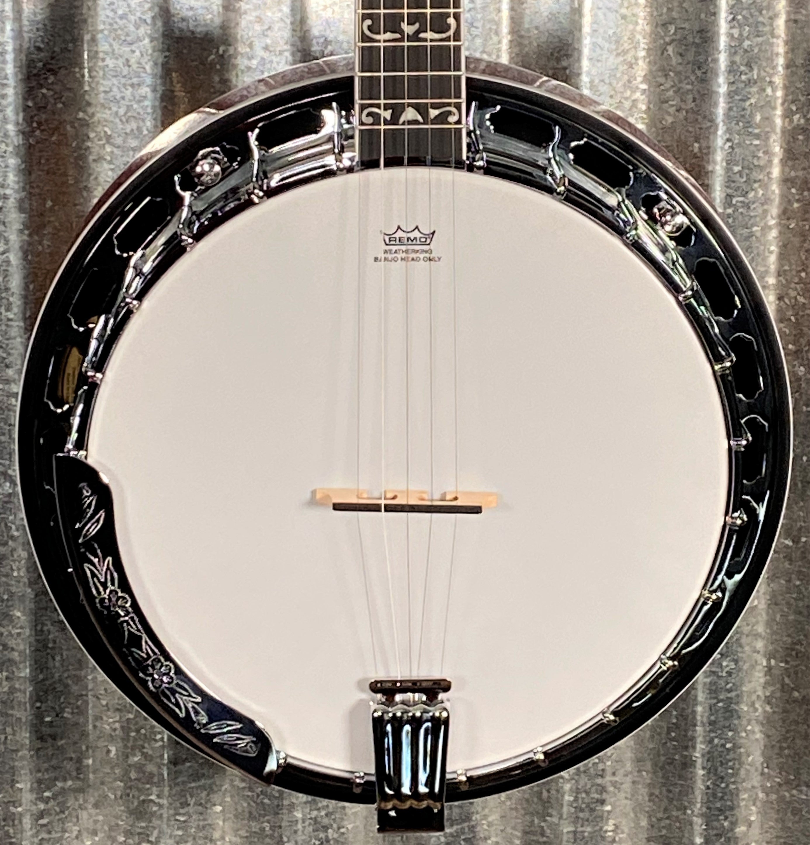 Washburn b16 deals banjo