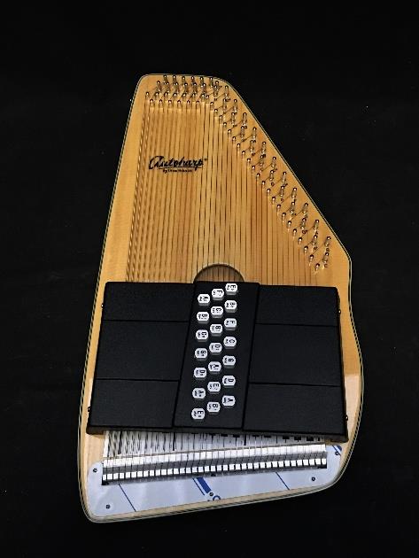 Oscar Schmidt OS10021 21 Chord Auto Harp #0001 *
