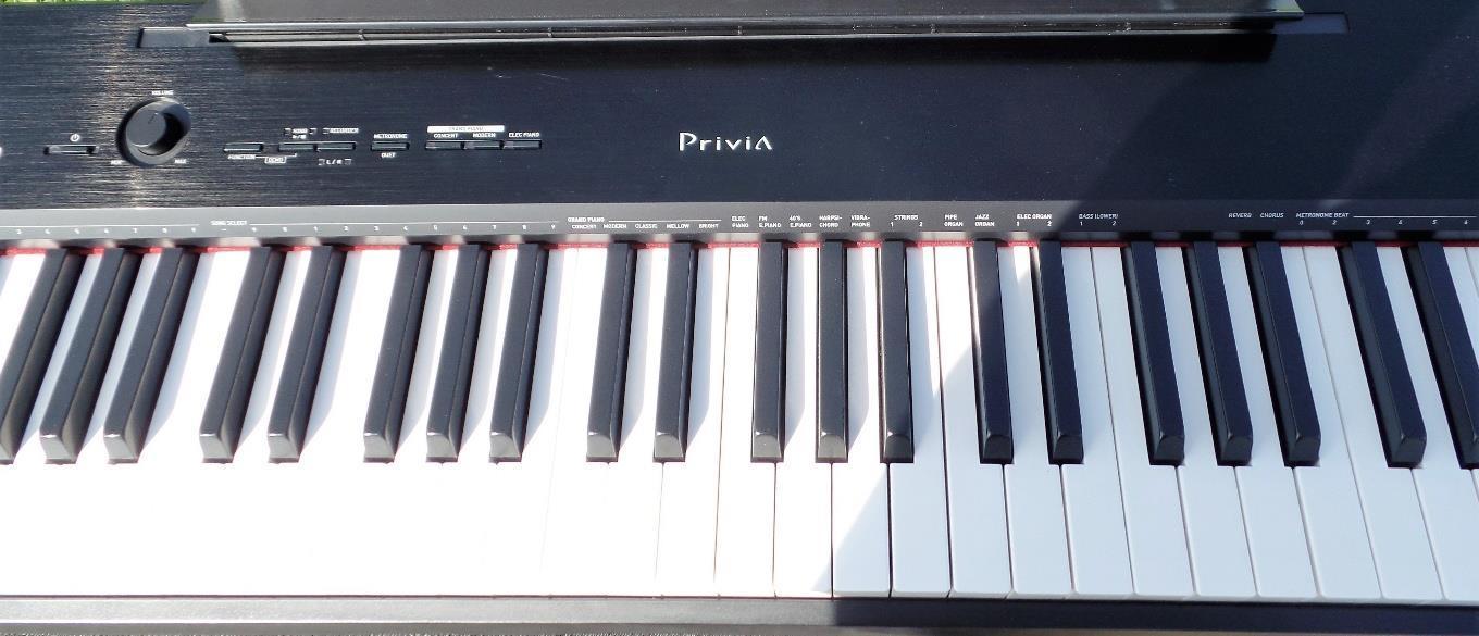 Piano privia px 150 best sale