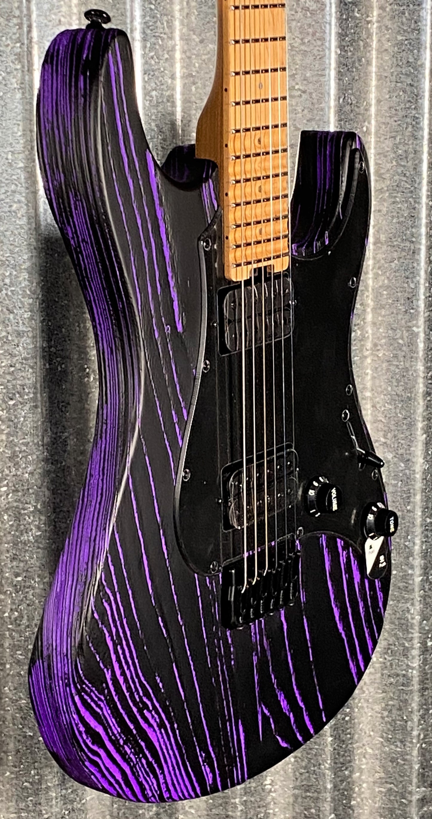 ESP LTD SN-1000HT Purple Blast Guitar #3044