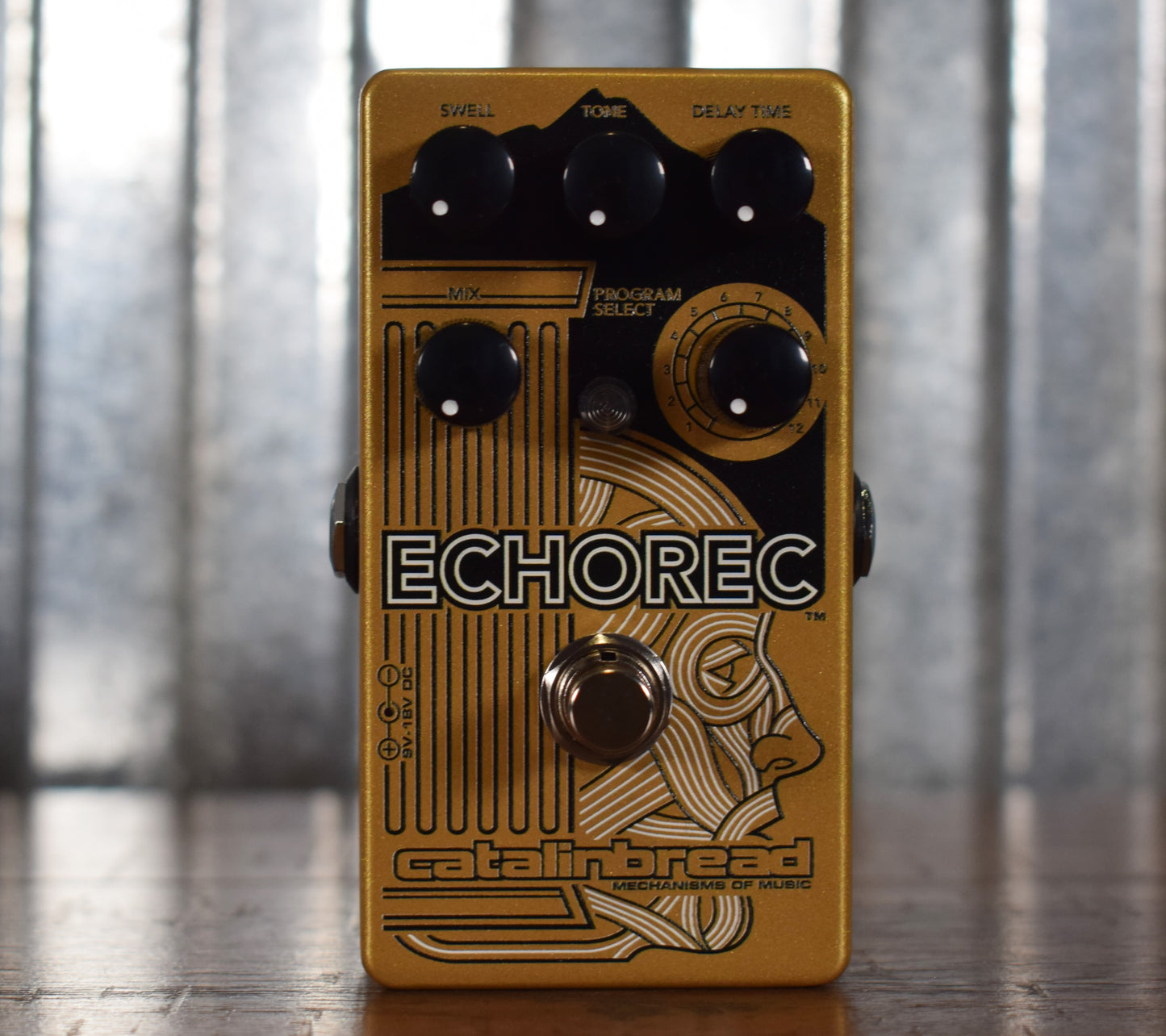Catalinbread ECHOREC Tape Echo Guitar Effect Pedal Demo