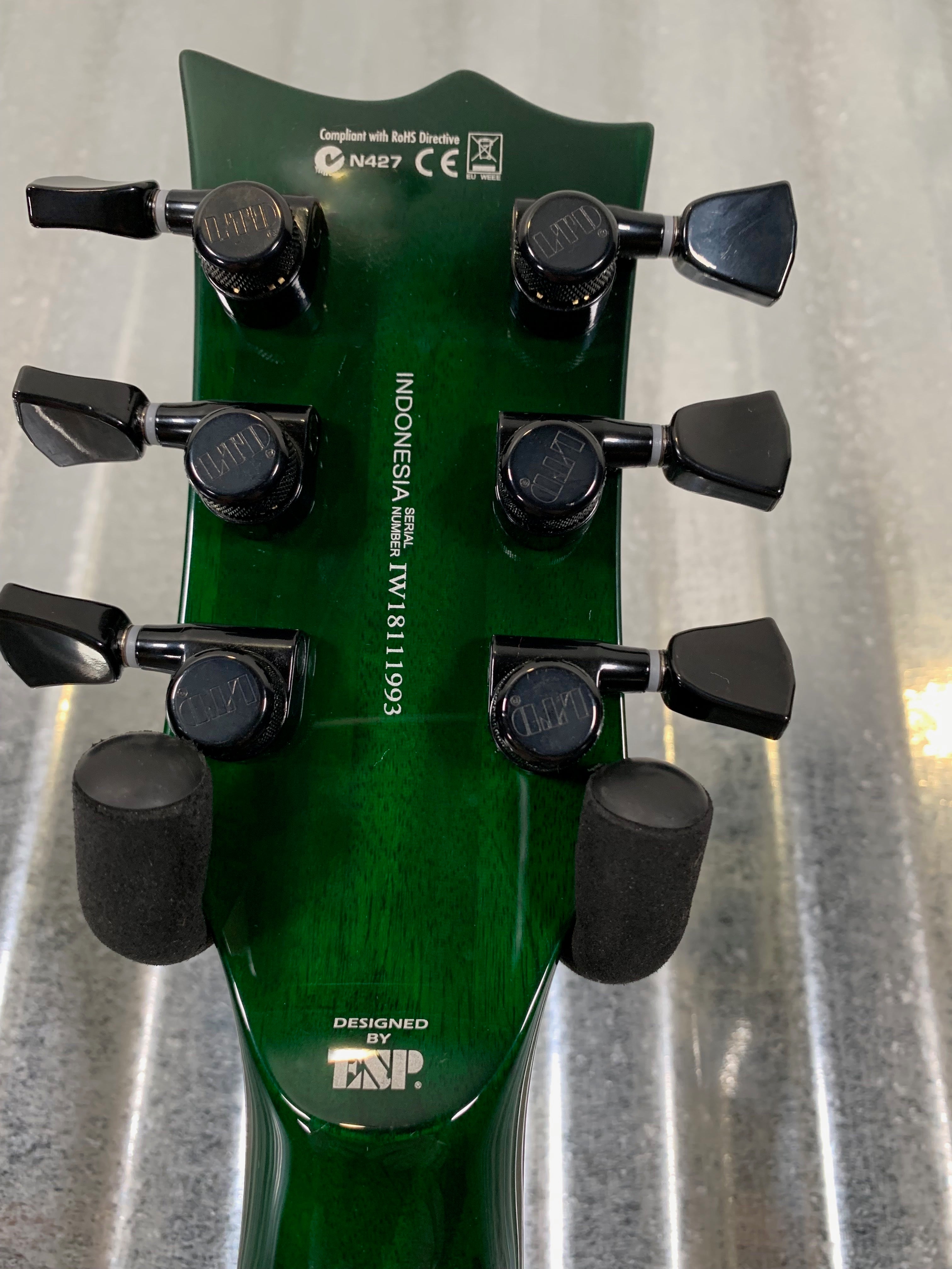 ESP LTD EC-1000 Flame See Thru Green Guitar EC1000FMSTG