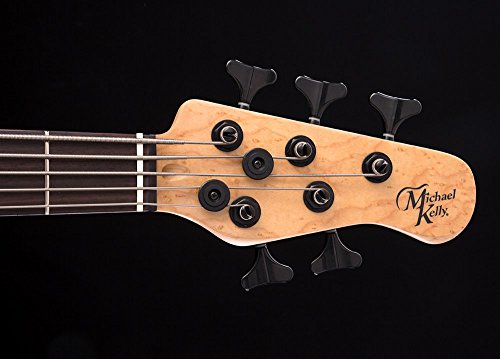 Michael Kelly CCE5EB Custom Element 5 Sting Bass Guitar Striped Ebony Top & Bag