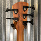 Spector NS Pulse II 5 String Bass Utra Violet Matte NSPULSE5UVM #0496