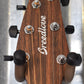 Breedlove Wildwood Concert Satin CE Mahogany Acoustic Electric Guitar B Stock #7207