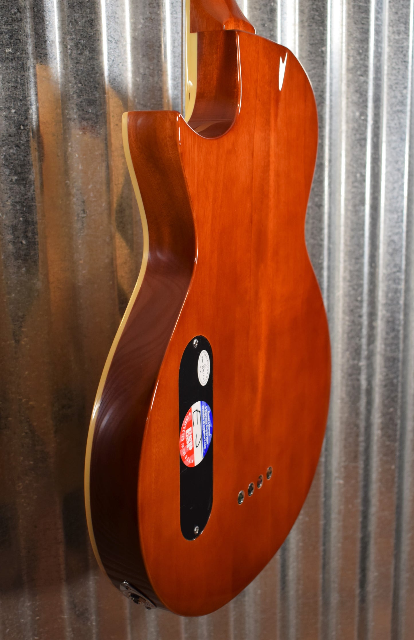 ESP LTD TL-4 Natural 4 String Thinline Acoustic Electric Bass & Case LTL4NAT #1544