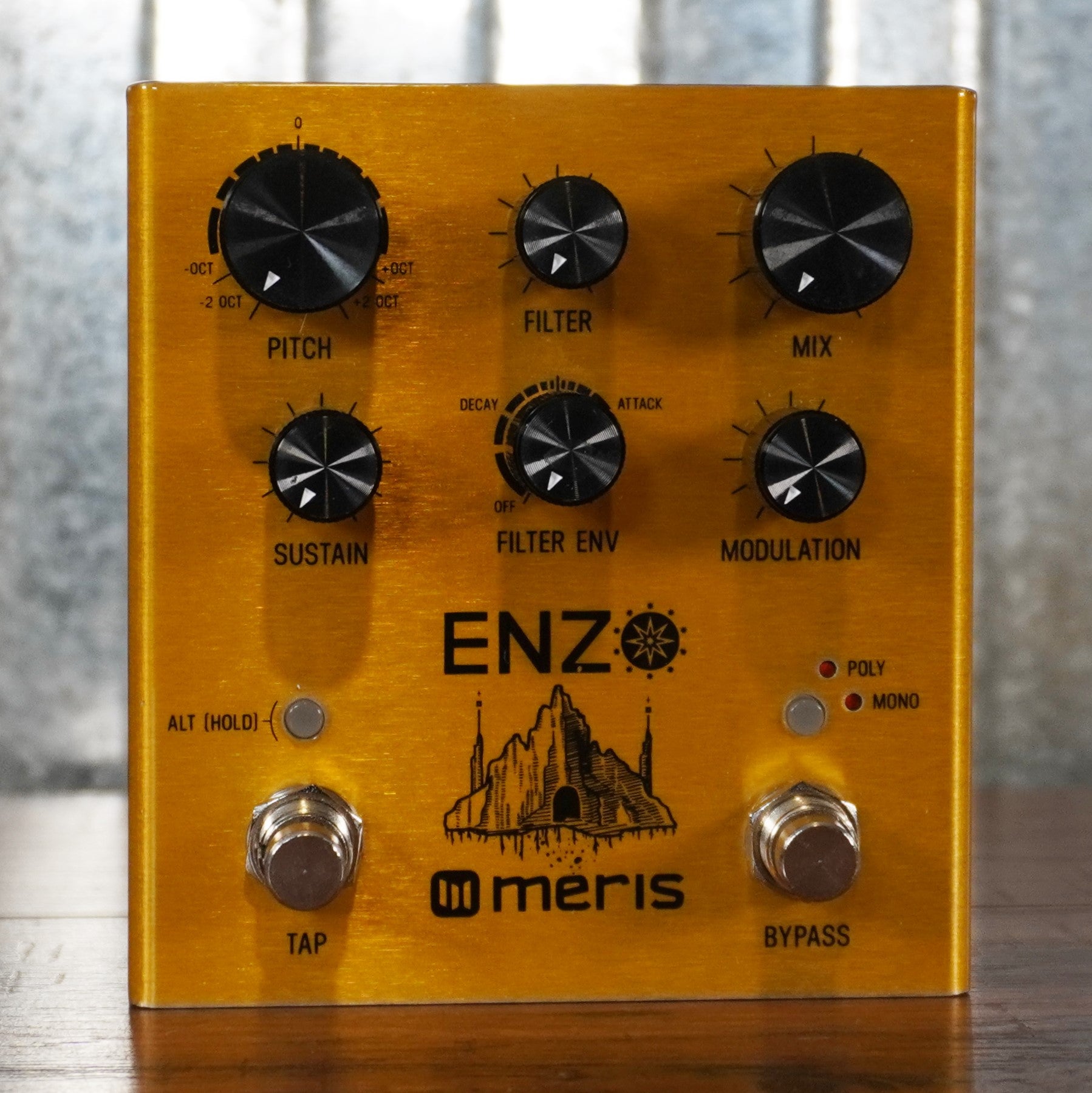Meris Enzo Multi Voice Instrument Synthesizer Guitar Effect Pedal