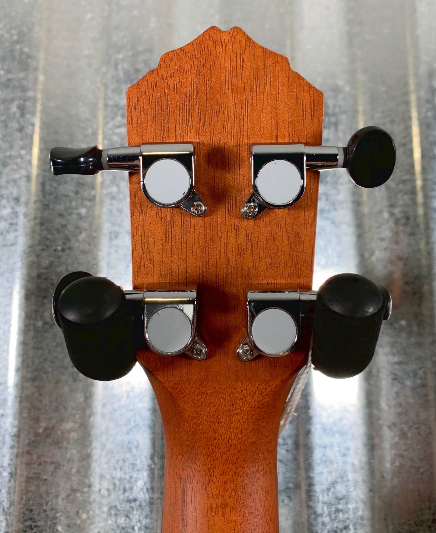 Ortega Guitars RUPA5 Natural Spruce Top Pinaple Concert Ukulele