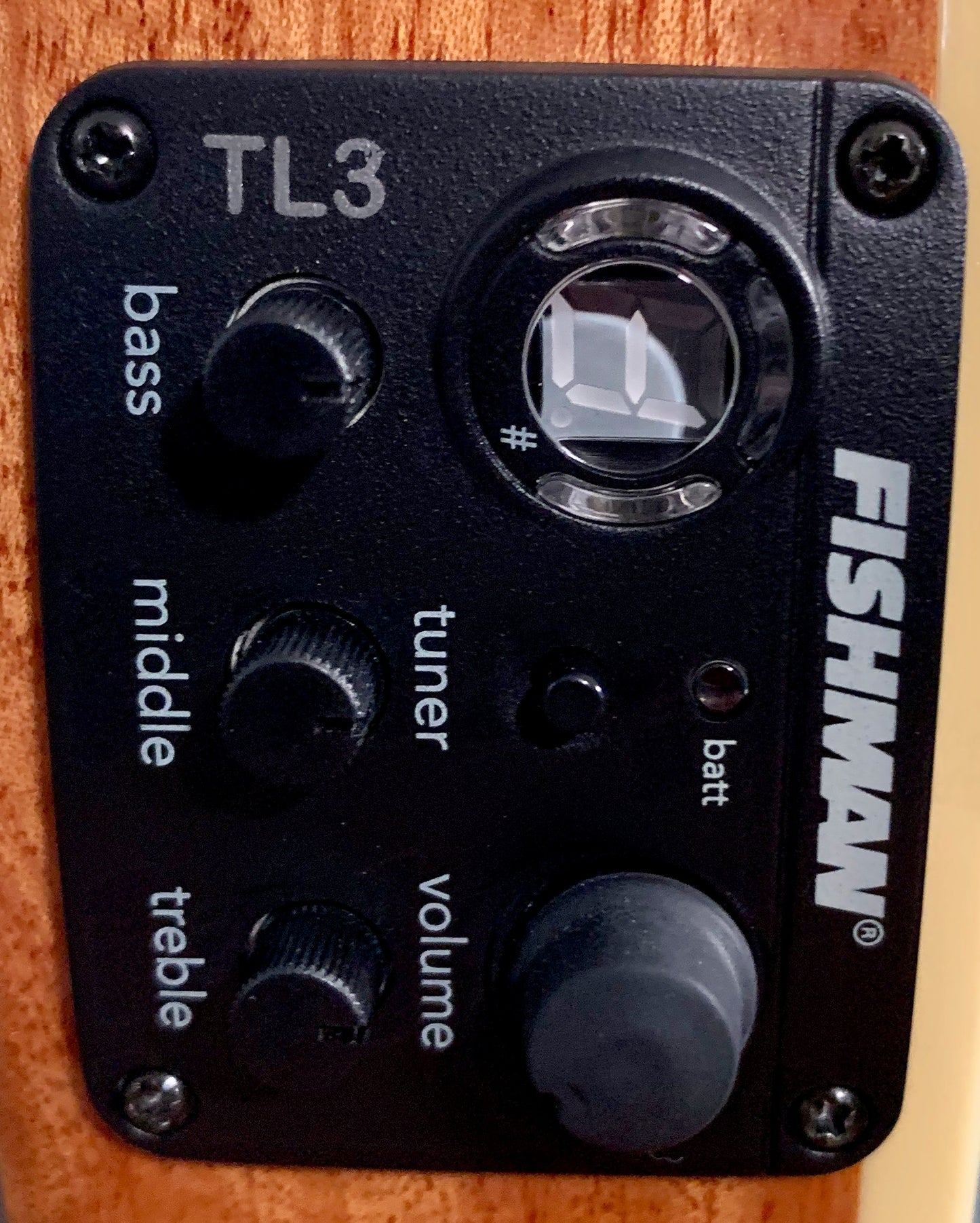 ESP LTD TL-6 Aqua Marine Mist Acoustic Electric Guitar & Case TL6FMAQMB #1740