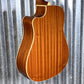 Fender Redondo Player SB WN Acoustic Electric Sunburst Guitar & Case #6820 Used