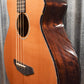 Breedlove Solo Jumbo Acoustic Electric Bass & Bag #3485