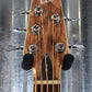 ESP LTD TL-5 Spalted Maple Thinline 5 String Acoustic Electric Bass LTL5SMNAT & Case #1008