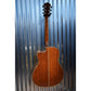 Washburn WCG15CE Comfort Series Acoustic Electric Guitar & Case #0350