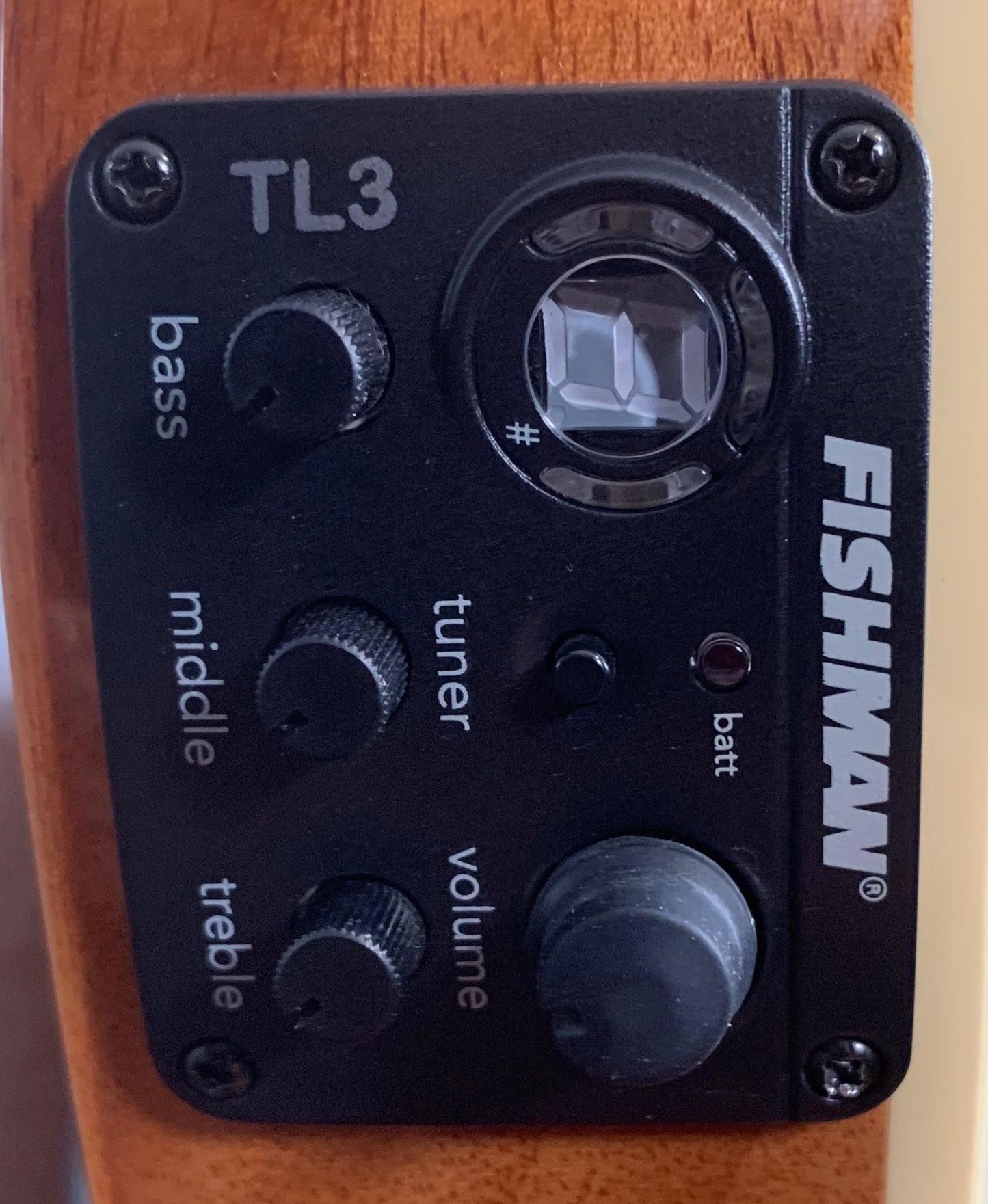 ESP LTD TL-6 Aqua Marine Mist Acoustic Electric Guitar & Case TL6FMAQMB #1799