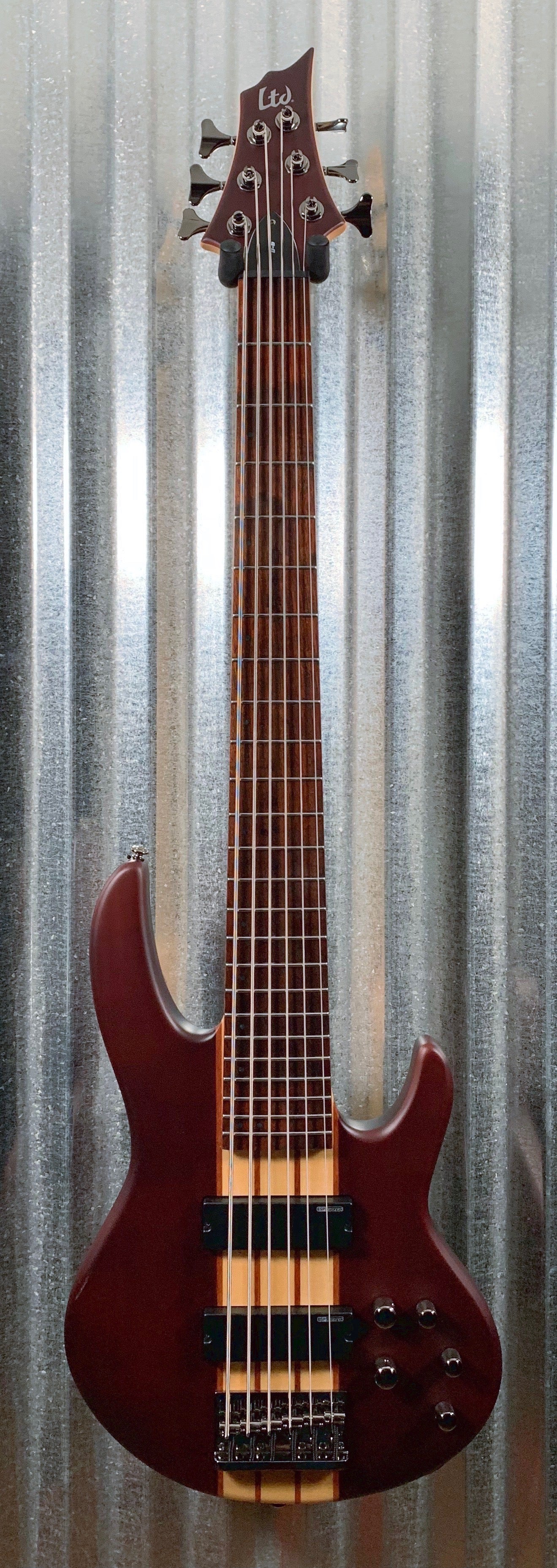 6 string bass online case