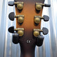 Washburn Guitars HB36 VIntage Matte Semi Hollow Body Guitar #275