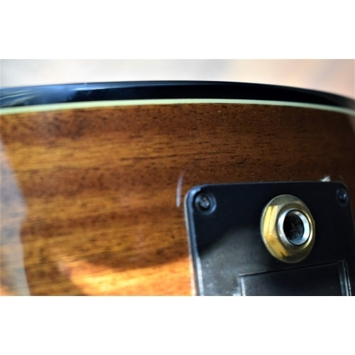 Washburn C64SCE Classical Acoustic Electric Nylon String Guitar & Bag Blemish