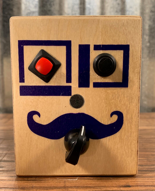 Brandnewnoise Mr Purple Sound Sampler Recorder with Pitch Control Effect Box