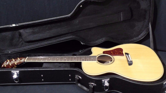 Washburn WSD5240SCEK Acoustic Electric Guitar with Hardshell Case #0871