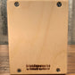 Brandnewnoise Mr Purple Sound Sampler Recorder with Pitch Control Effect Box