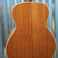 Washburn HG120SWEK Torrefied Solid Wood Acoustic Electric Guitar & Case #0014