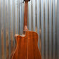Washburn WD160SWCE Timber Ridge Solid Woods Acoustic Electric Guitar #1295