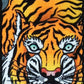 Levy's MPD2-124 2” Polyester Guitar Bass Strap with Japanese Traditional Tiger Motif