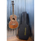 Washburn R314KK Vintage Parlor Acoustic Guitar & Case #0716