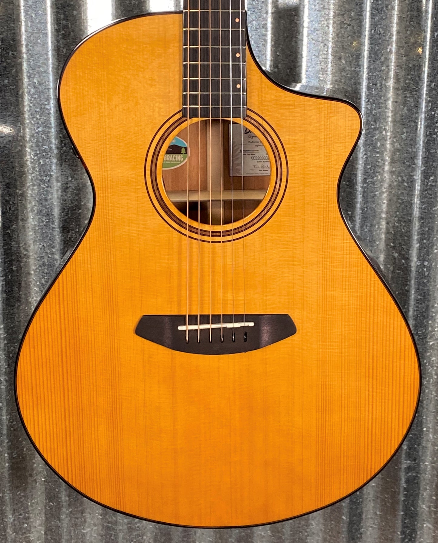 Breedlove Performer Pro Concert Aged Toner CE Mahogany Acoustic Electric Guitar & Case #3284