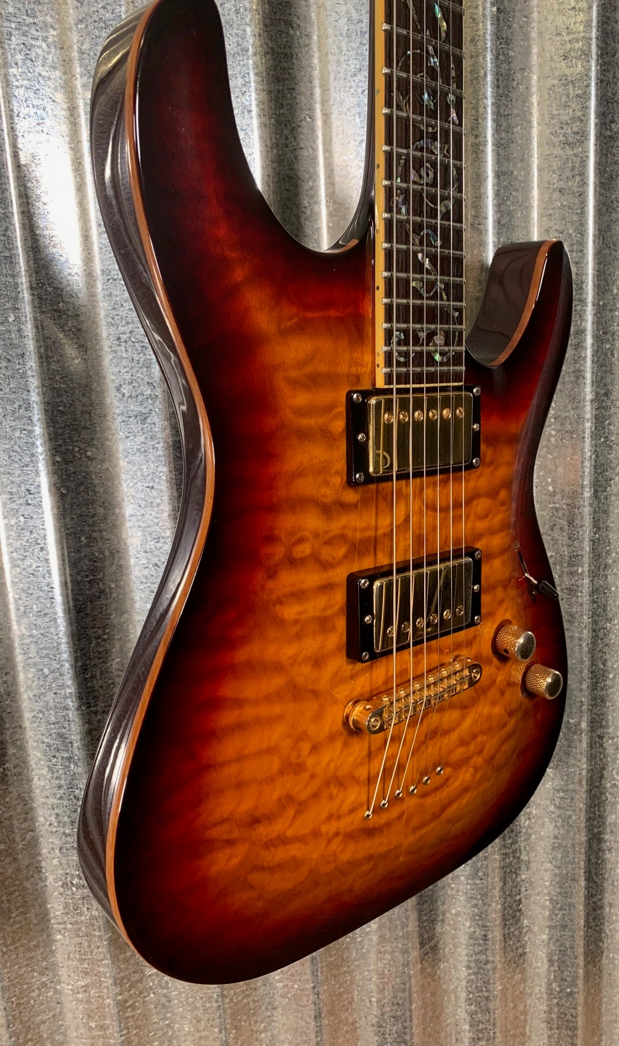 Schecter store c1 case