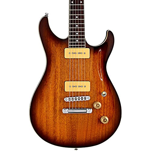 G&L Ascari Tribute GT-90 Tobacco Sunburst Gig Bag
