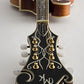 Michael Kelly MKLDFAVS Legacy Dragonfly Flame F Style Mandolin Blemish #0160