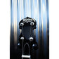 Washburn Guitars B11K 5 String Banjo with Brass Tone Ring & Case #341