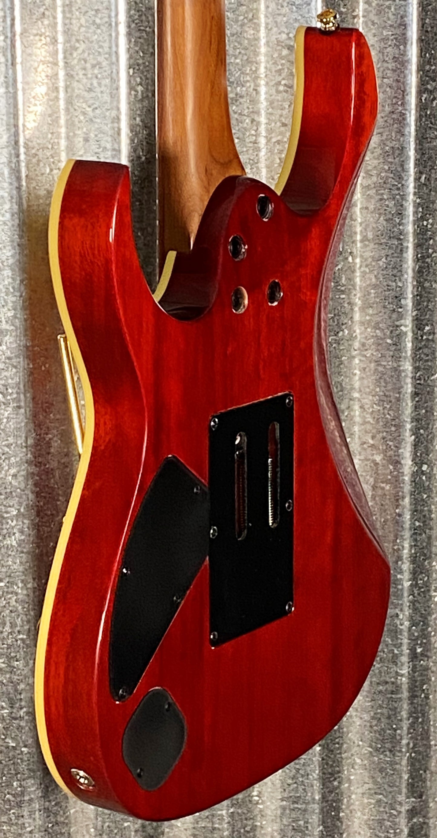 Ibanez RG420HPFM Flame Maple Roasted Neck DiMarzio Guitar & Bag #4900 Used
