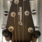 Breedlove Rainforest S Concert Orchid CE Mahogany Acoustic Electric Guitar RFCN53CEAMAM #9160