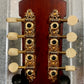 Washburn Timeless Limited Edition C43 A Style Mandolin & Case TCMC43SWK #0033