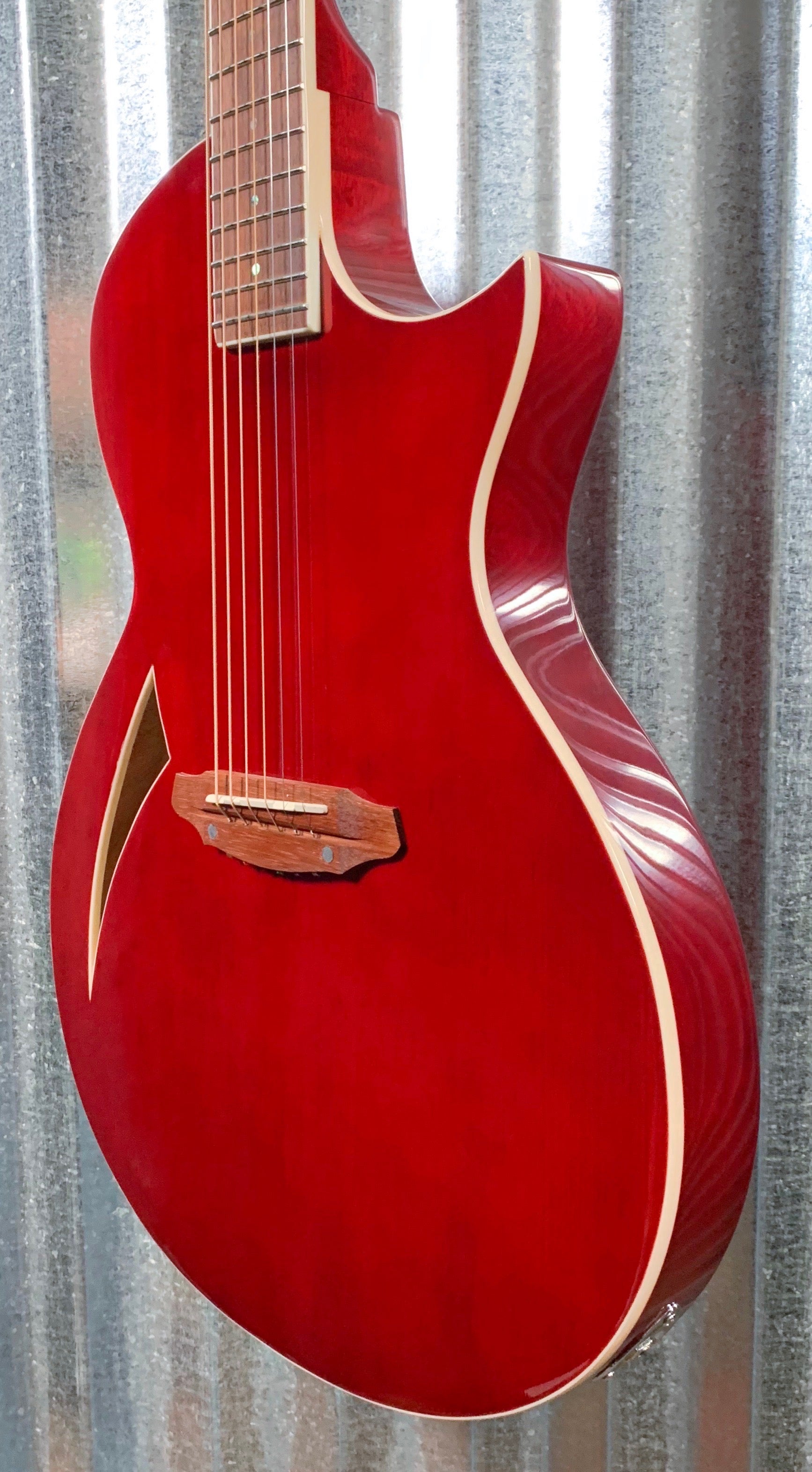 2025年 お歳暮・冬ギフト特集 Electric Acoustic Thin Red Wine TL-6 LTD ESP Guitar Bag & ウイスキー