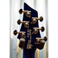 Washburn Parallaxe PXMTR-20 Trevor Rabin YES Flame Trans Blue Guitar & Case #001